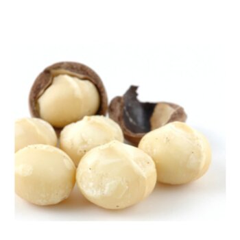 NOZES MACADAMIA INTEIRA/METADE TOSTADA  S/ SAL 100G ATITUDE VERDE